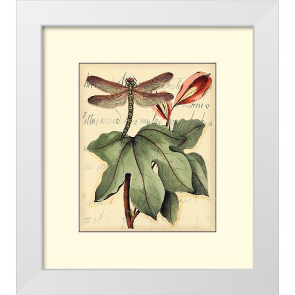 Vision Studio 12x13 White Modern Wood Framed Museum Art Print Titled - Petite Dragonflies II