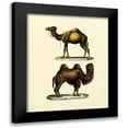 thumbnail image 1 of Vision Studio 12x14 Black Modern Framed Museum Art Print Titled - Animal Studies III, 1 of 5