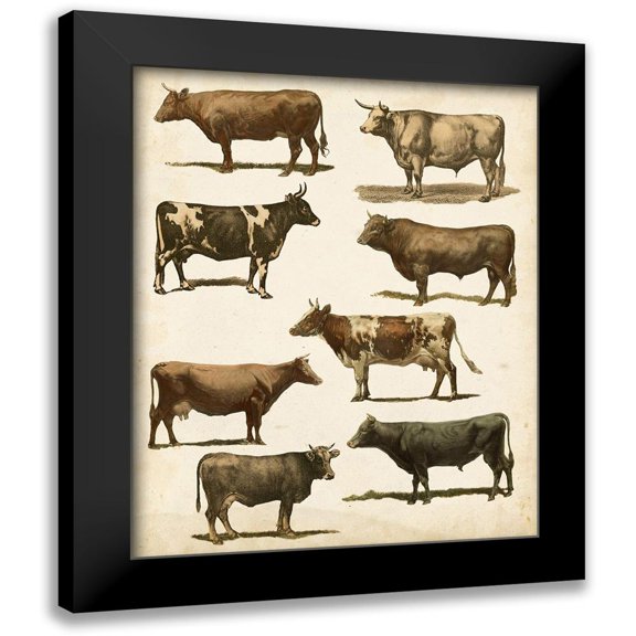 Vision Studio 12x14 Black Modern Framed Museum Art Print Titled - Antique Cow Chart