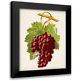 thumbnail image 1 of Vision Studio 12x14 Black Modern Framed Museum Art Print Titled - Antique Fruit III, 1 of 5