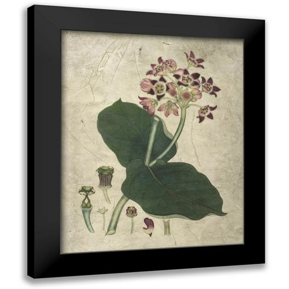 Vision Studio 12x14 Black Modern Framed Museum Art Print Titled - Aubergine Florals III
