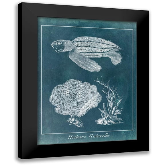 Vision Studio 12x14 Black Modern Framed Museum Art Print Titled - Azure Sea Turtle Study II
