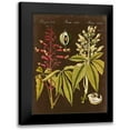 thumbnail image 1 of Vision Studio 12x14 Black Modern Framed Museum Art Print Titled - Buckeye on Suede, 1 of 5