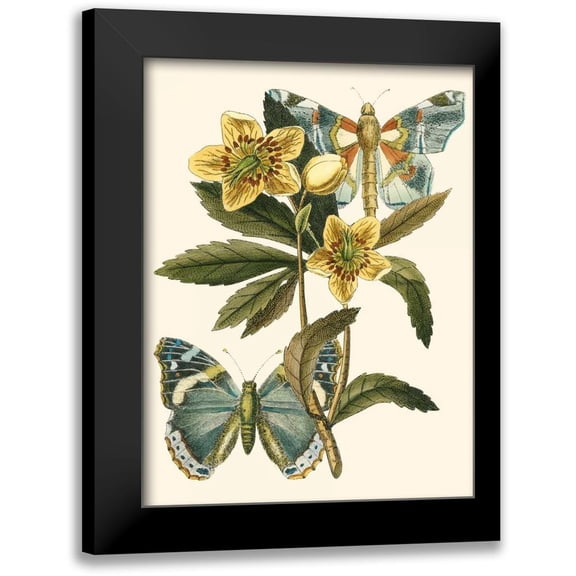 Vision Studio 12x14 Black Modern Framed Museum Art Print Titled - Butterfly Oasis III