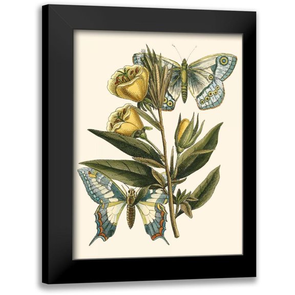Vision Studio 12x14 Black Modern Framed Museum Art Print Titled - Butterfly Oasis II