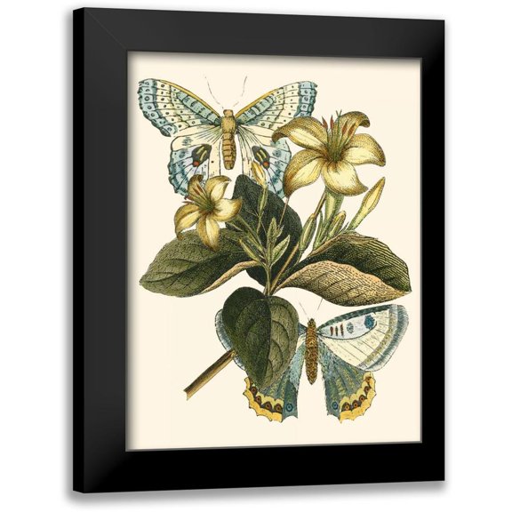 Vision Studio 12x14 Black Modern Framed Museum Art Print Titled - Butterfly Oasis IV