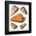 thumbnail image 1 of Vision Studio 12x14 Black Modern Framed Museum Art Print Titled - Collected Shells IX, 1 of 5