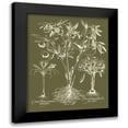 thumbnail image 1 of Vision Studio 12x14 Black Modern Framed Museum Art Print Titled - Custom Delicate Besler Botanical II, 1 of 5
