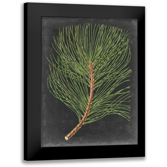 Vision Studio 12x14 Black Modern Framed Museum Art Print Titled - Dramatic Pine III