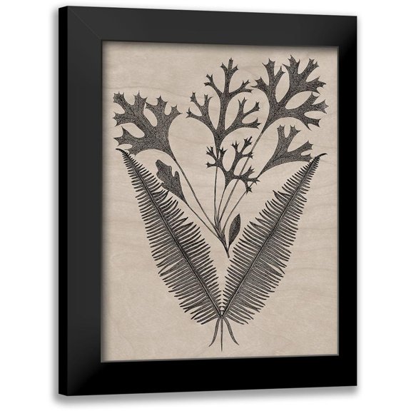 Vision Studio 12x14 Black Modern Framed Museum Art Print Titled - Eloquent Leaves IV