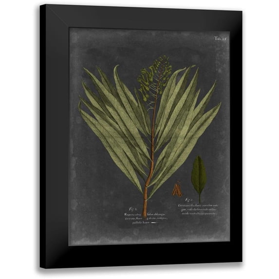 Vision Studio 12x14 Black Modern Framed Museum Art Print Titled - Foliage Dramatique II