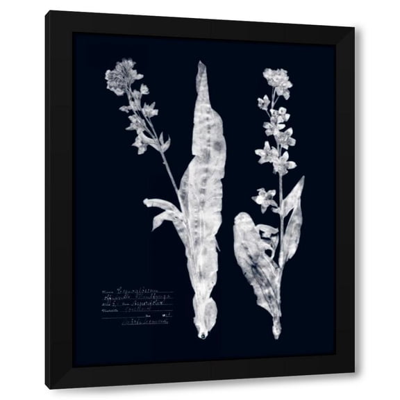 Vision Studio 12x14 Black Modern Wood Framed Wall Art Titled - Impressions on Indigo IV