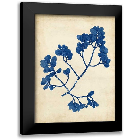 Vision Studio 12x14 Black Modern Framed Museum Art Print Titled - Indigo Leaf Study III