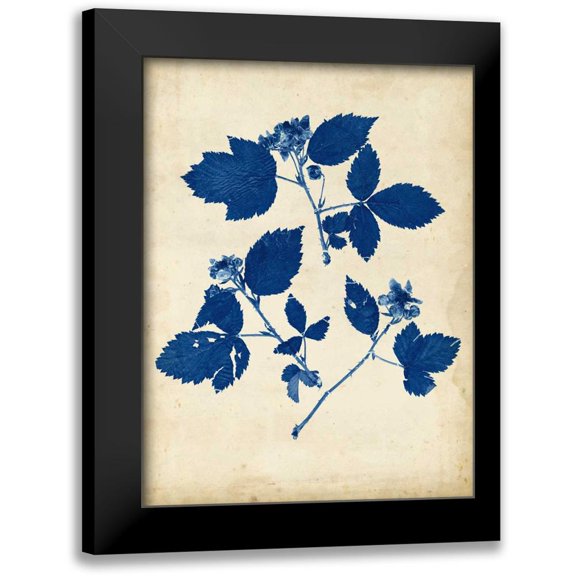 Vision Studio 12x14 Black Modern Framed Museum Art Print Titled - Indigo Leaf Study VI