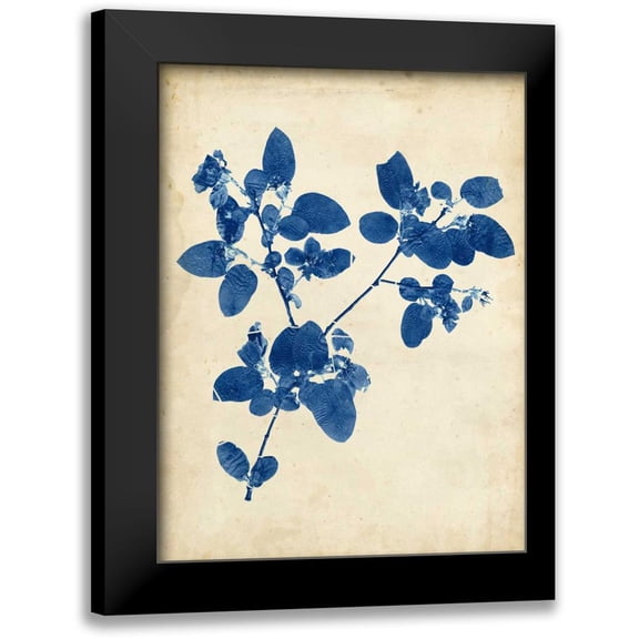 Vision Studio 12x14 Black Modern Framed Museum Art Print Titled - Indigo Leaf Study V