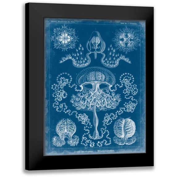 Vision Studio 12x14 Black Modern Framed Museum Art Print Titled - Marine Blueprint IV