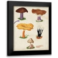 thumbnail image 1 of Vision Studio 12x14 Black Modern Framed Museum Art Print Titled - Mushroom Species VII, 1 of 5