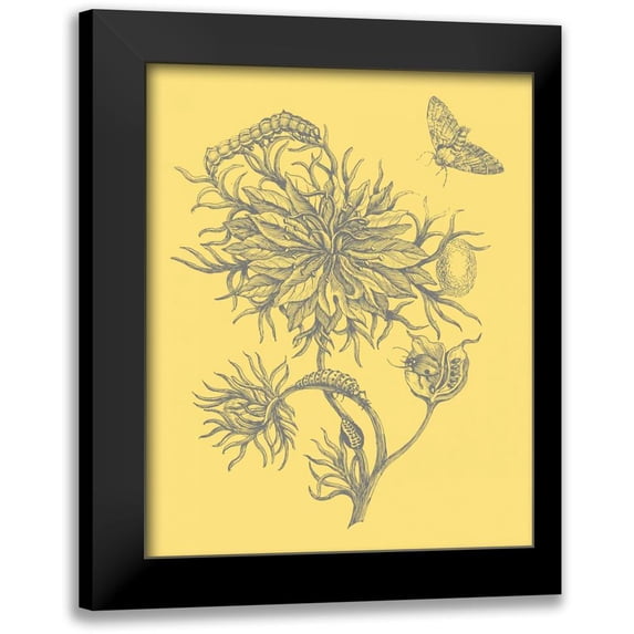 Vision Studio 12x14 Black Modern Framed Museum Art Print Titled - Natures Optimism II