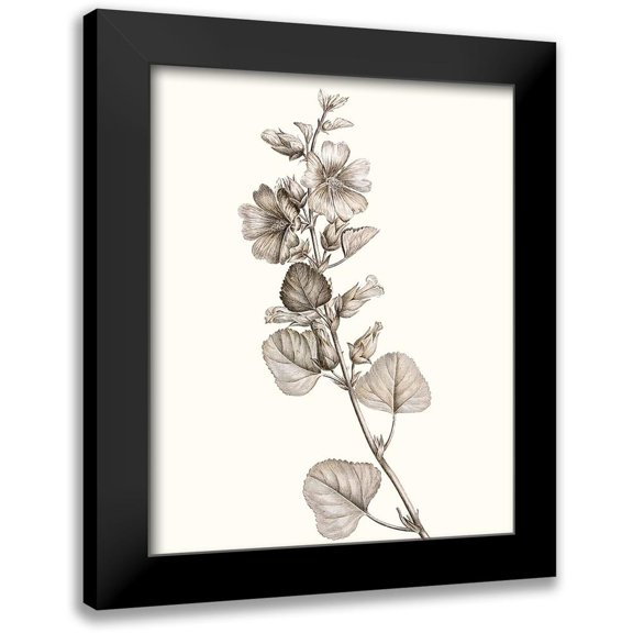 Vision Studio 12x14 Black Modern Framed Museum Art Print Titled - Neutral Botanical Study I