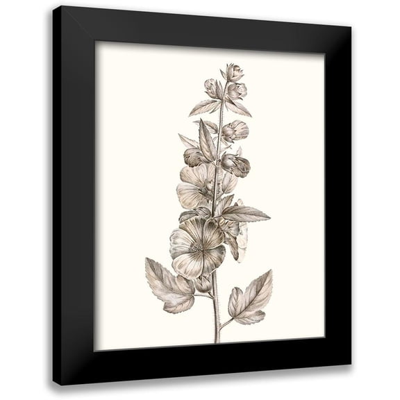 Vision Studio 12x14 Black Modern Framed Museum Art Print Titled - Neutral Botanical Study V