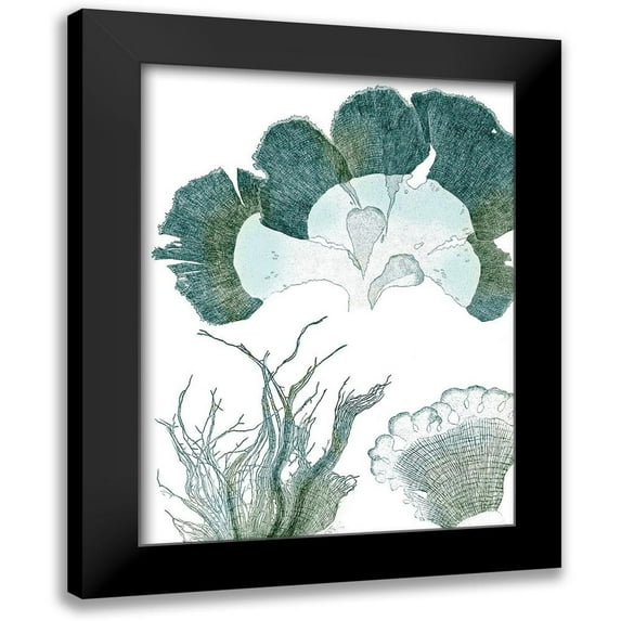 Vision Studio 12x14 Black Modern Framed Museum Art Print Titled - Seaside Seaweed II