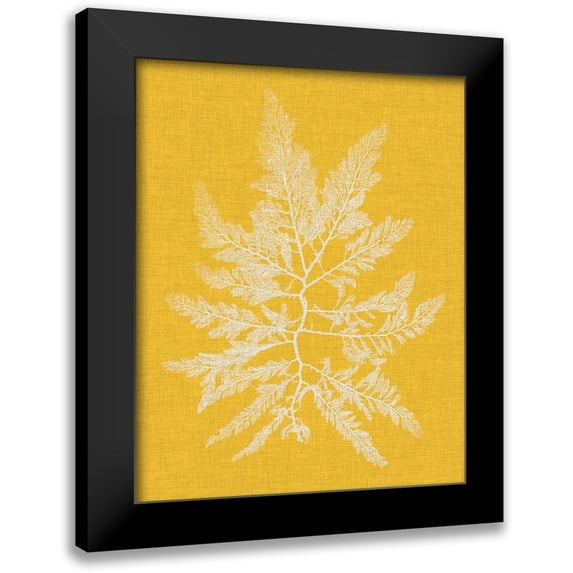 Vision Studio 12x14 Black Modern Framed Museum Art Print Titled - Seaweed Pop II