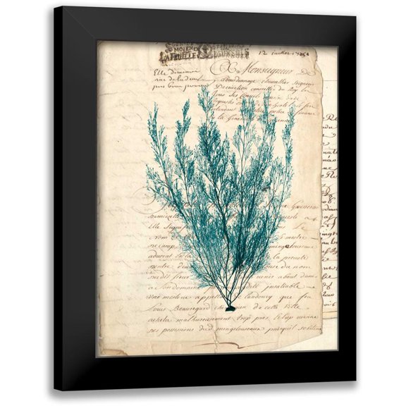 Vision Studio 12x14 Black Modern Framed Museum Art Print Titled - Vintage Teal Seaweed VII