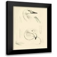 thumbnail image 1 of Vision Studio 12x14 Black Modern Framed Museum Art Print Titled - Waterbird Sketchbook II, 1 of 5
