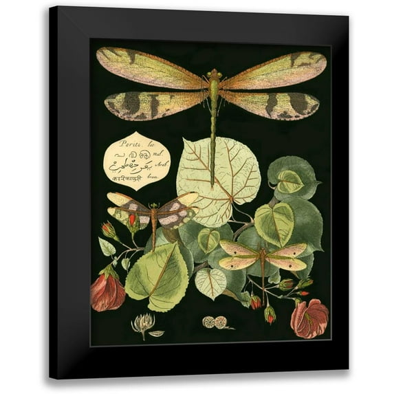 Vision Studio 12x14 Black Modern Framed Museum Art Print Titled - Whimsical Dragonfly on Black II