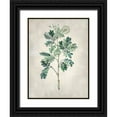 thumbnail image 1 of Vision Studio  12x14 Black Ornate Wood Framed with Double Matting Museum Art Print Titled - Acacia Tree I, 1 of 4