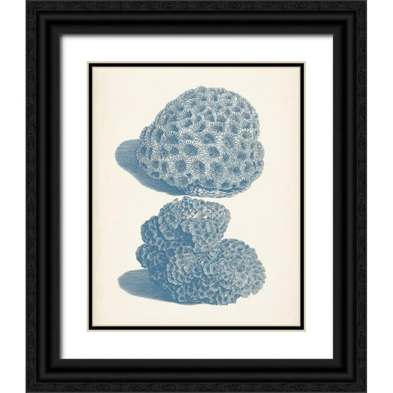 Vision Studio 12x14 Black Ornate Wood Framed with Double Matting Museum Art Print Titled - Antique Coral Collection VIII