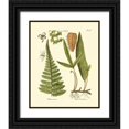 thumbnail image 1 of Vision Studio 12x14 Black Ornate Wood Framed with Double Matting Museum Art Print Titled - Antique Fern IV, 1 of 4