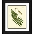 thumbnail image 1 of Vision Studio 12x14 Black Ornate Wood Framed with Double Matting Museum Art Print Titled - Antique Fern V, 1 of 4