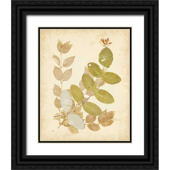 Vision Studio 12x14 Black Ornate Wood Framed with Double Matting Museum Art Print Titled - Natures Collage II