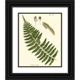 thumbnail image 1 of Vision Studio 12x14 Black Ornate Wood Framed with Double Matting Museum Art Print Titled - Small Antique Fern V, 1 of 4