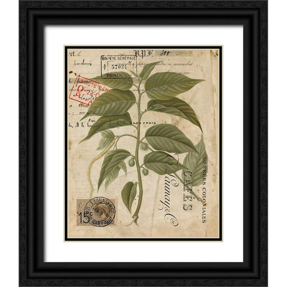 Vision Studio 12x14 Black Ornate Wood Framed with Double Matting Museum Art Print Titled - Vintage Natures Greenery II