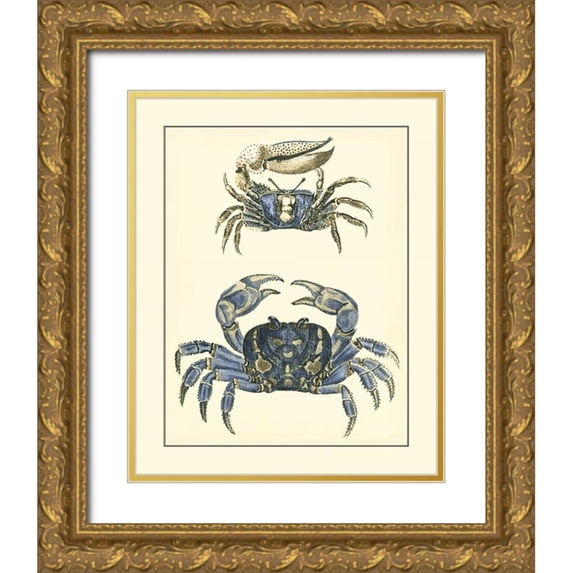 Vision Studio 12x14 Gold Ornate Wood Framed with Double Matting Museum Art Print Titled - Antique Blue Crabs II