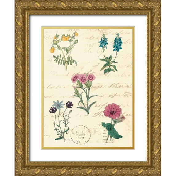 Vision Studio 12x14 Gold Ornate Wood Framed with Double Matting Museum Art Print Titled - Botanical Journal III