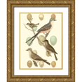 thumbnail image 1 of Vision Studio 12x14 Gold Ornate Wood Framed with Double Matting Museum Art Print Titled - British Birds and Eggs I, 1 of 4