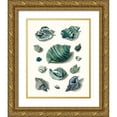 thumbnail image 1 of Vision Studio 12x14 Gold Ornate Wood Framed with Double Matting Museum Art Print Titled - Celadon Shells II, 1 of 4