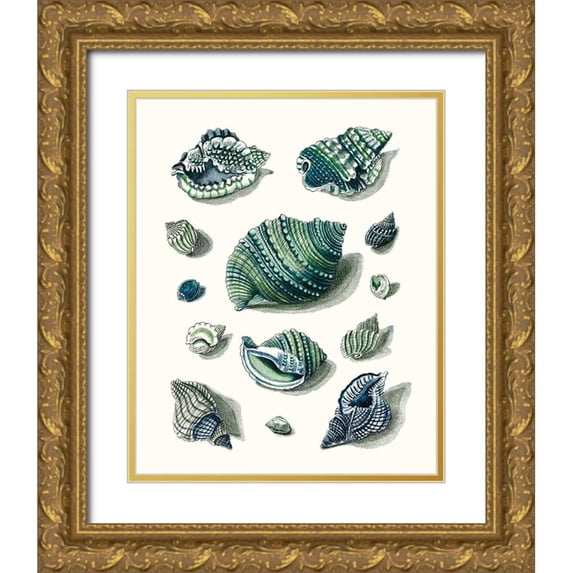 Vision Studio 12x14 Gold Ornate Wood Framed with Double Matting Museum Art Print Titled - Celadon Shells II