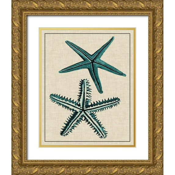 Vision Studio 12x14 Gold Ornate Wood Framed with Double Matting Museum Art Print Titled - Coastal Starfish I