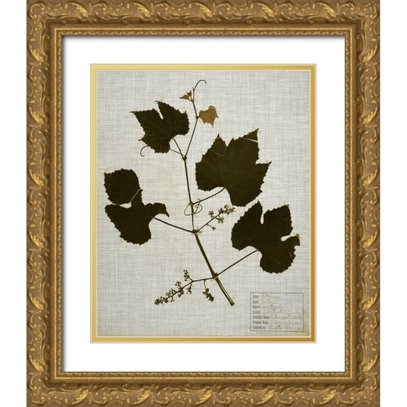 Vision Studio 12x14 Gold Ornate Wood Framed with Double Matting Museum Art Print Titled - Pressed Leaves on Linen III