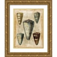 thumbnail image 1 of Vision Studio  12x14 Gold Ornate Wood Framed with Double Matting Museum Art Print Titled - Small Antiquarian Seashells IV, 1 of 4