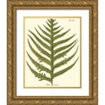 thumbnail image 1 of Vision Studio 12x14 Gold Ornate Wood Framed with Double Matting Museum Art Print Titled - Small Antique Fern VIII, 1 of 4