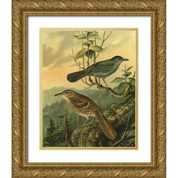 Vision Studio 12x14 Gold Ornate Wood Framed with Double Matting Museum Art Print Titled - Small Woodland Birds IV
