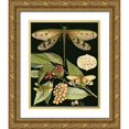 thumbnail image 1 of Vision Studio 12x14 Gold Ornate Wood Framed with Double Matting Museum Art Print Titled - Whimsical Dragonfly on Black I, 1 of 4