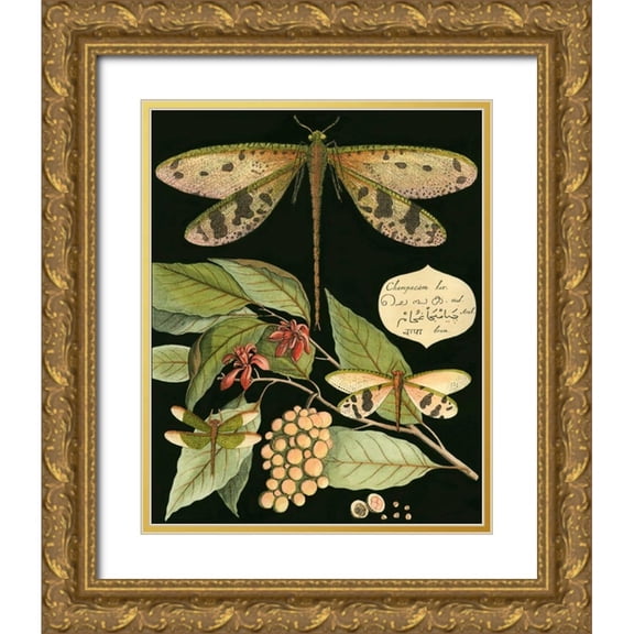 Vision Studio 12x14 Gold Ornate Wood Framed with Double Matting Museum Art Print Titled - Whimsical Dragonfly on Black I