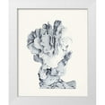 thumbnail image 1 of Vision Studio  12x14 White Modern Wood Framed Museum Art Print Titled - Blue Antique Coral IV, 1 of 4