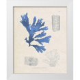 thumbnail image 1 of Vision Studio 12x14 White Modern Wood Framed Museum Art Print Titled - Blue Marine Algae VIII, 1 of 4